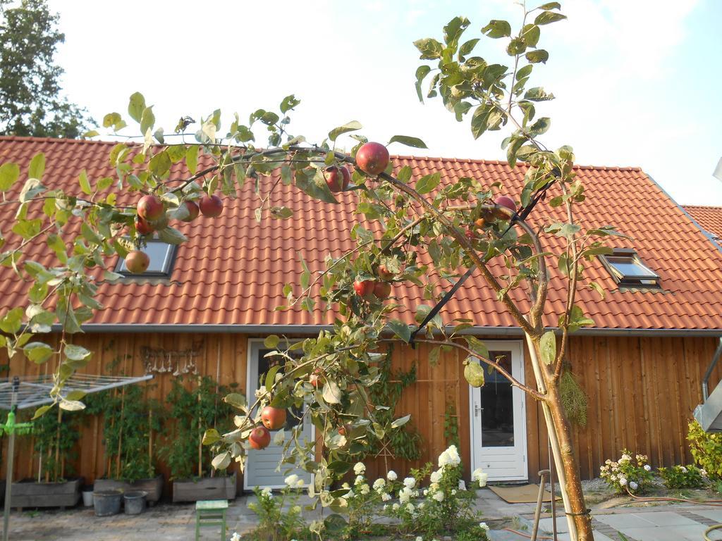 Bij En Boom Bed & Breakfast Drachten Exterior photo